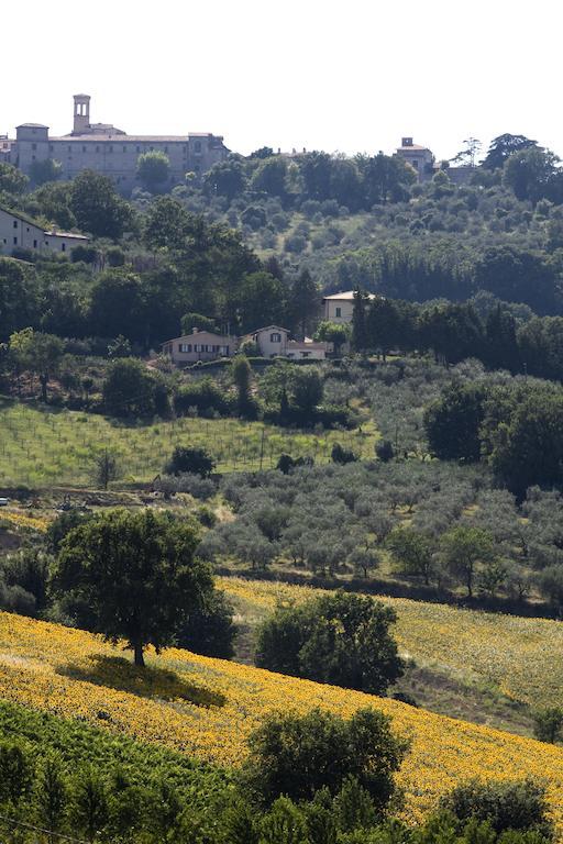 Agriturismo Il Girasole Montefalco Exterior photo