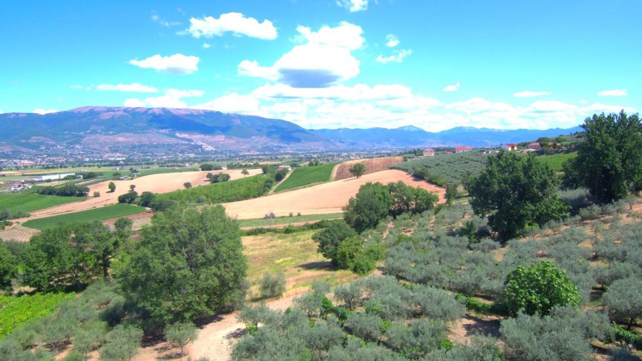 Agriturismo Il Girasole Montefalco Exterior photo